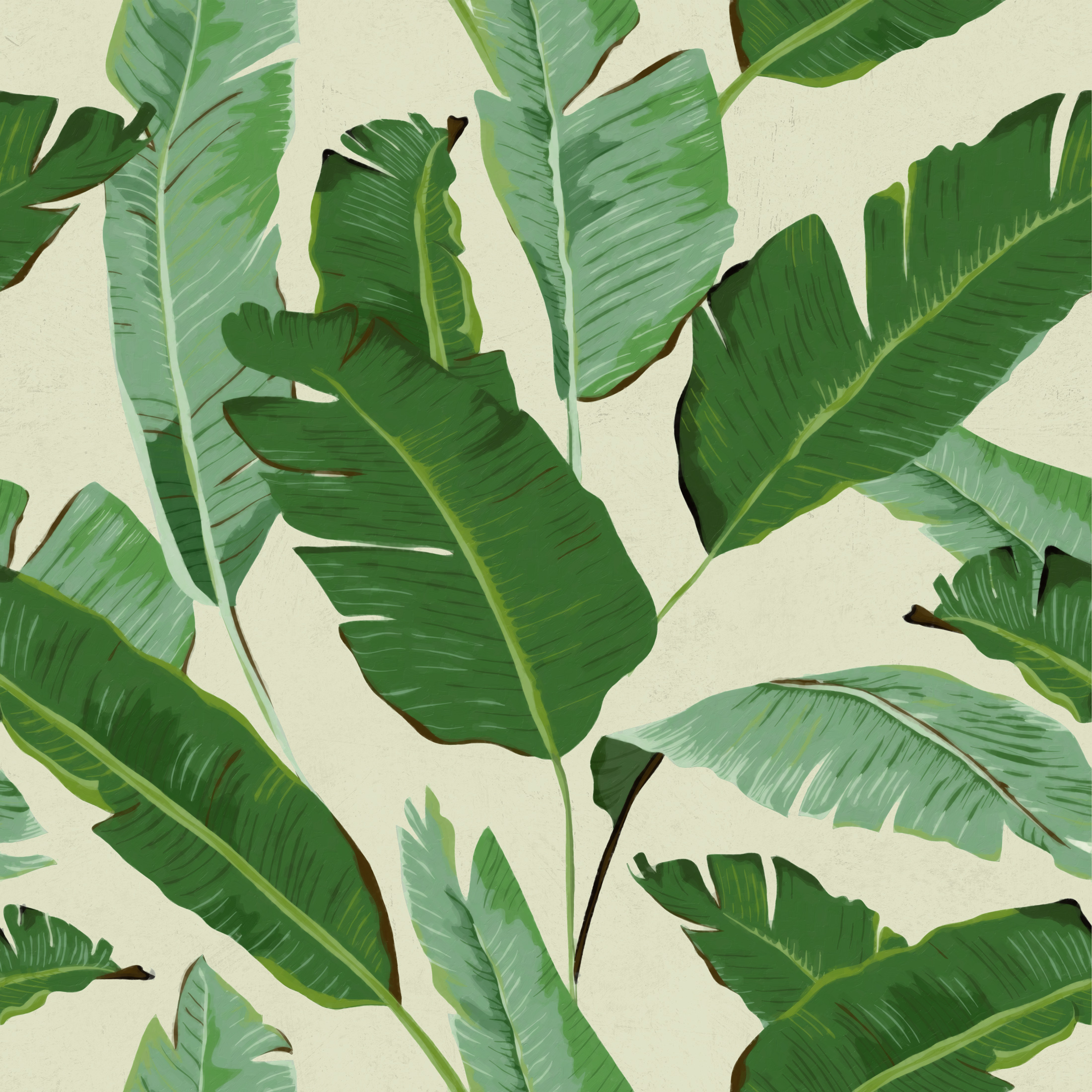 Mind The Gap Wallpaper Collection - Banana Leaves - Anna's Attic